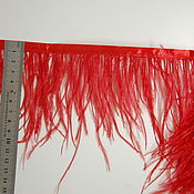 Материалы для творчества handmade. Livemaster - original item Trim of ostrich feathers 10-15 cm red. Handmade.