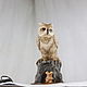 Order Energy saving lamp 'Owl'. krylov-mihail. Livemaster. . Nightlights Фото №3