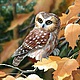 Brooch 'Autumn owl'. Brooches. Anastasiya Kozlova. My Livemaster. Фото №6