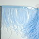 Copy of Trim of ostrich feathers 10-15 cm light blue, braid, Moscow,  Фото №1