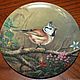 Collection plates 'Our world of small birds' Tirschenreuth, Vintage interior, Moscow,  Фото №1