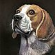 Бигль. Портрет собаки по фото, Картины, Балашиха,  Фото №1