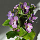 Order Forest violet. interior arrangement. KG_flowers. Livemaster. . Flowers Фото №3
