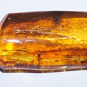 Сувениры и подарки handmade. Livemaster - original item Souvenir Collectible Amber Stone with 6 insects.. Handmade.