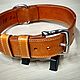 Collar for dog genuine leather. Dog - Collars. AshotCraft. Online shopping on My Livemaster.  Фото №2