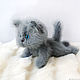 Cat Vaska. Author toy. knitted kitty, Stuffed Toys, Chaikovsky,  Фото №1