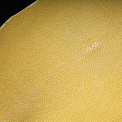 Материалы для творчества handmade. Livemaster - original item Sea stingray skin, oval, width 30-32 cm IMC2007Y1. Handmade.