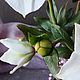 Морозник. Зимовник. Helleborus. Полимерная глина (холодный фарфор). Букеты. Lovely flower. Ярмарка Мастеров.  Фото №6