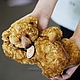 Golden Fell. bear-Teddy Golden Fleece, Teddy Bears, Kurgan,  Фото №1