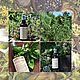 Conjunto de 4 hidrolatos picantes 'hierbas Provenzales', Cosmetics2, Lipetsk,  Фото №1