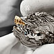 Брошь "Сирин" из серебра с эмалью. Брошь-булавка. SCARABEY jewelry. Ярмарка Мастеров.  Фото №4