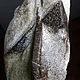 Stavrolite in the shale (large collector's sample) Cave.Kolski s. Minerals. Stones of the World. My Livemaster. Фото №5