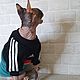Одежда для кошек "Винтаж стиль 80-х". Одежда для питомцев. Happy-Sphynx. Ярмарка Мастеров.  Фото №6