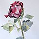 Watercolor painting 'rose', Pictures, Kansk,  Фото №1
