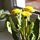 Одуванчики. Цветы. Flower garden. Ярмарка Мастеров.  Фото №4