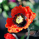 Interior composition "Poppies" made of polymer clay, Composition, Rostov-on-Don,  Фото №1