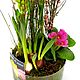 Первоцветы в стекле "Москвичка" цветы на 8 марта. Подарки на 8 марта. DARK FLORIST Флористика Декор ЦВЕТЫ. Ярмарка Мастеров.  Фото №9