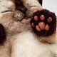 Сиамский котенок из войлока. Войлочная игрушка. Лавка Лисёнка. Интернет-магазин Ярмарка Мастеров.  Фото №2
