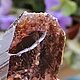 Аксинит, кристалл, минерал натуральный, Минералы, Москва,  Фото №1