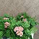Композиция из очитка. Композиции. Flowers16kzn-. Ярмарка Мастеров.  Фото №4