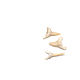 Fossilized shark tooth 30-34 mm. Figurines in Russian style. merlin-hat (Merlin-hat). My Livemaster. Фото №5