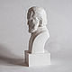 Sculpture, bust, miniature. Sculpture. Revkova Tatiana (figurki-sculpt). Online shopping on My Livemaster.  Фото №2