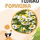 Гидролат ромашки для сухой и чувстивтельной кожи. Тоники. Алтайский лось. Ярмарка Мастеров.  Фото №6