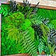 Картина 120*40 см в раме из лиственницы. Гаджеты для дома. Антонина Литовкина - Озеленение (Планета Флористики). Ярмарка Мастеров.  Фото №6