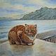 Sea cat. Oil painting. 30h30 cm, Pictures, Moscow,  Фото №1