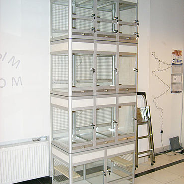 Интернет Магазин Продажи Животных
