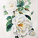 Order PRINT White rosehip, watercolor. Belasla. Livemaster. . Pictures Фото №3