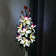 Flower-nightlight orchid 'Asterisk', Nightlights, Surgut,  Фото №1