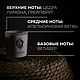 Ароматическая свеча MONADA "Грейпфрут", 250 ml. Свечи. MONADA. Интернет-магазин Ярмарка Мастеров.  Фото №2