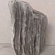 Заказать Пенек дрифтвуд. Юлия Driftwood и Stones. Ярмарка Мастеров. . Природные материалы Фото №3