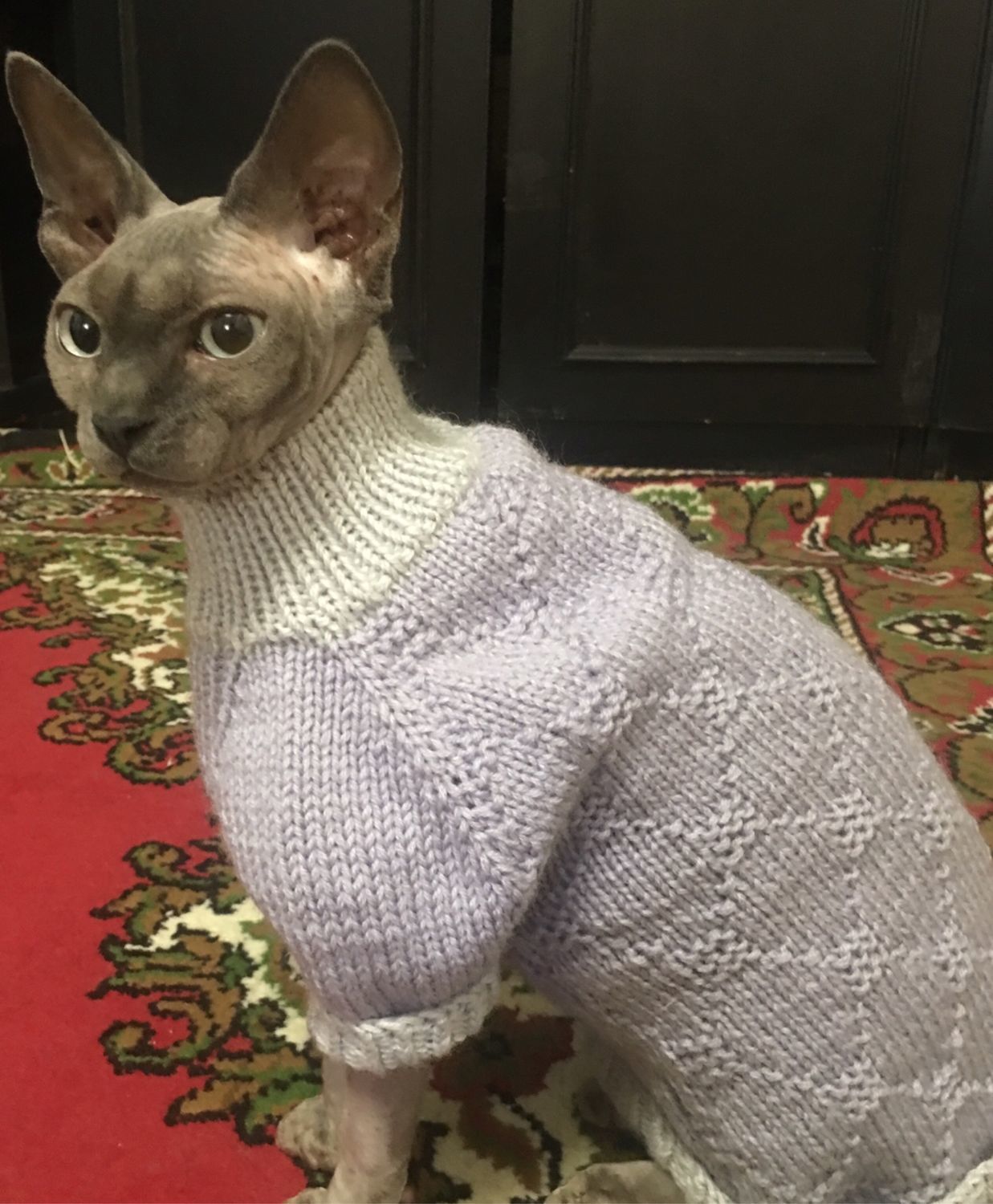 Как связать одежду для кошки спицами