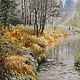 Картина масло холст Хрустальное утро (пейзаж, желтый, светло-серый). Картины. Арт-галерея Николая Омельченко. Интернет-магазин Ярмарка Мастеров.  Фото №2