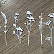 Order !Cutting for scrapbooking-SET of WILD GRASS 2, diz cardboard. svetafka-handmade. Livemaster. . Scrapbooking cuttings Фото №3