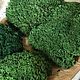 Royal moss moss stabilized (0,5 kg) from the manufacturer. Natural materials. Антонина Литовкина - Озеленение (Планета Флористики). My Livemaster. Фото №5