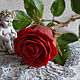 Красная роза из холодного фарфора, Цветы, Москва,  Фото №1