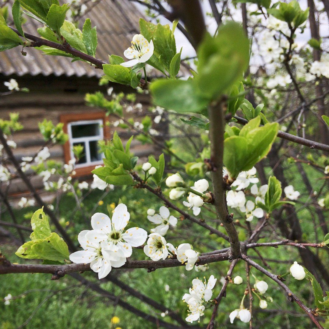 Вдохновение 