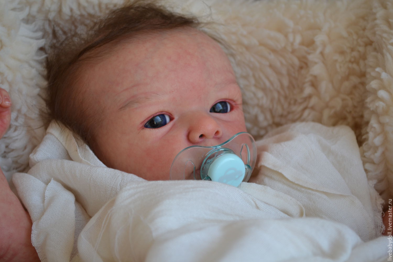 Reborn Doll Pictures and Visitor Photo Gallery