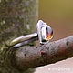 Ring silver Bird Robin, Baltic amber. Rings. dikoobraz. Online shopping on My Livemaster.  Фото №2