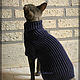 Clothing for cats and cats, Pet clothes, Moscow,  Фото №1