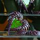  Zerg/сердечко (Starcraft). Магниты. SeeGypsyPose. Ярмарка Мастеров.  Фото №4