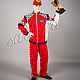 Costumes: racer, Carnival costumes, Moscow,  Фото №1