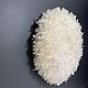Wall Decor Cameroonian Feather Hat. Interior elements. hellorussia.design. Ярмарка Мастеров.  Фото №4