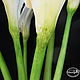 Copy of Copy of Copy of Copy of Copy of Swamp iris polymer clay. Flowers. Marina Zhadan. My Livemaster. Фото №6