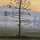 Order Oil painting 'Sunset in the swamp'. Artist Iuliia Kravchenko (realism-painting). Livemaster. . Pictures Фото №3