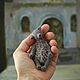 Заказать Мишка Сеня. Елена Перминова (elenaperminovabears). Ярмарка Мастеров. . Мишки Тедди Фото №3