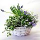 Корзина "Небеса" Первоцветы, растения, цветы на 8 марта, Подарки на 8 марта, Москва,  Фото №1